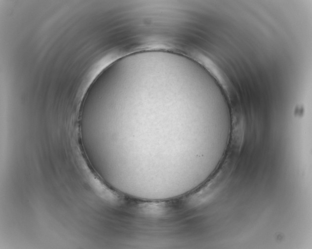 X0000092060810200709121353