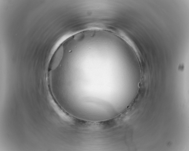 X0000092060811200709121353