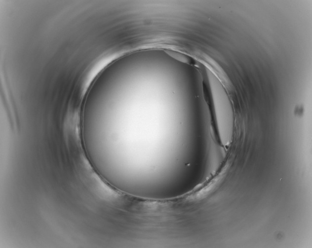 X0000092060812200709121353