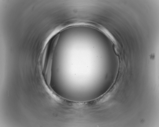 X0000092060813200709121353