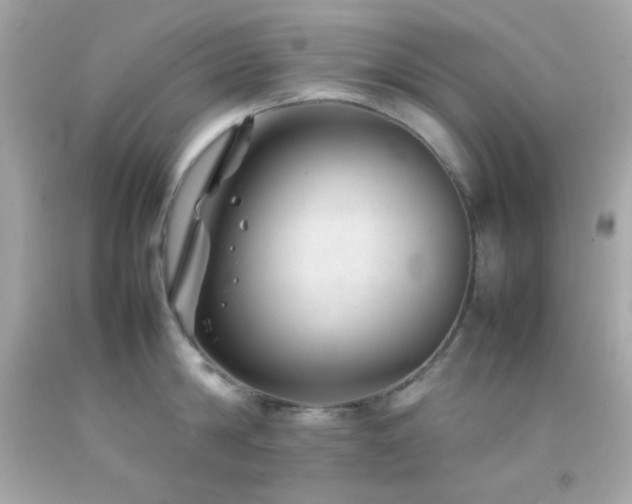 X0000092060814200709121353