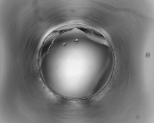 X0000092060816200709121353