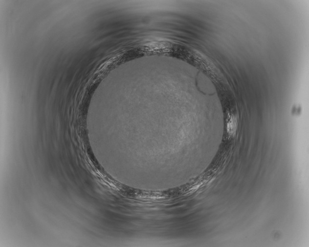 X0000092060819200709121352