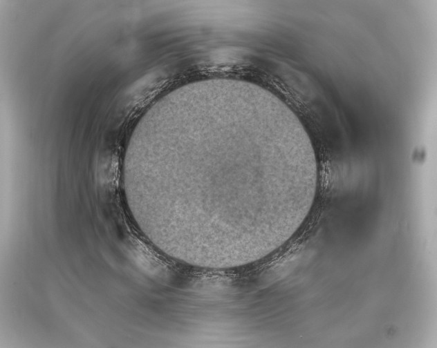 X0000092060820200709121352