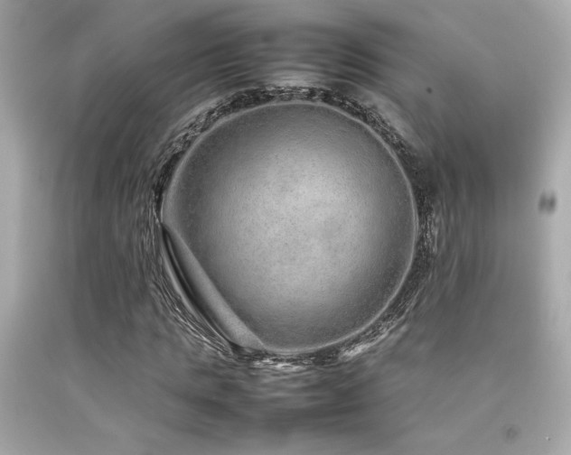 X0000092060821200709121352