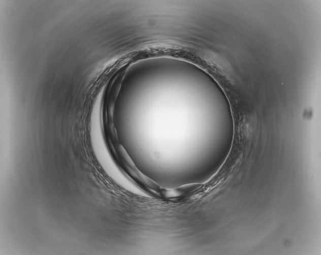 X0000092060822200709121352
