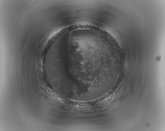 X0000092060823200709121352