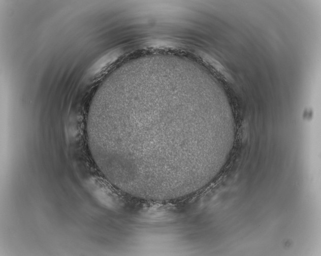 X0000092060824200709121352