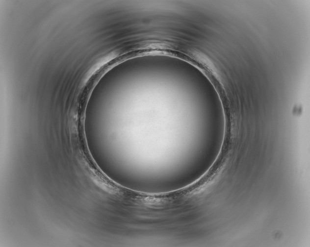 X0000092060827200709121352