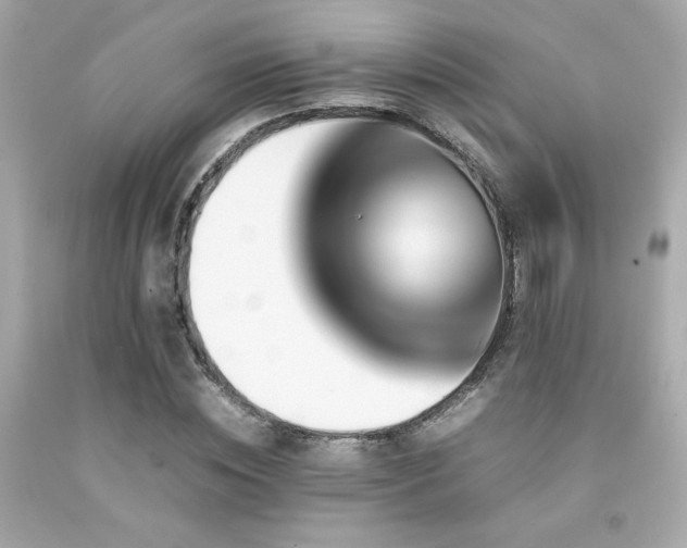 X0000092060828200709121352
