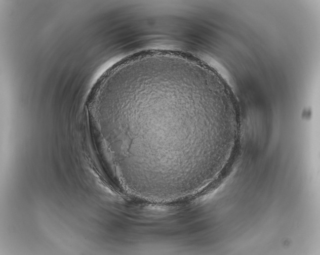 X0000092060829200709121352