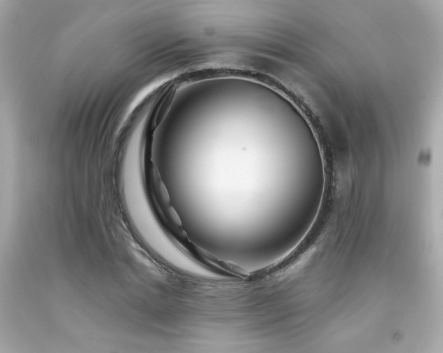 X0000092060830200709121352