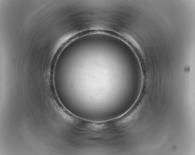 X0000092060831200709121353