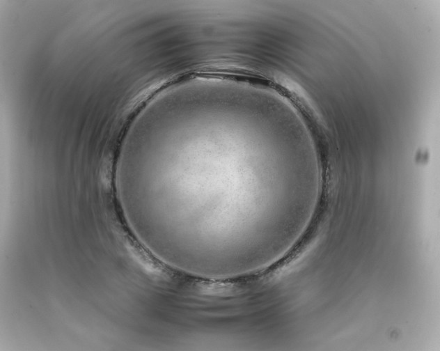 X0000092060833200709121353
