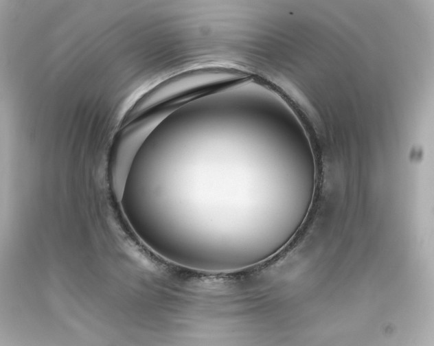 X0000092060834200709121353