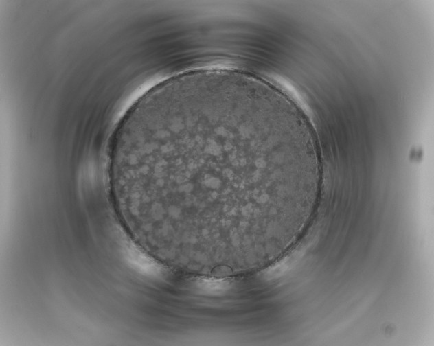X0000092060835200709121353
