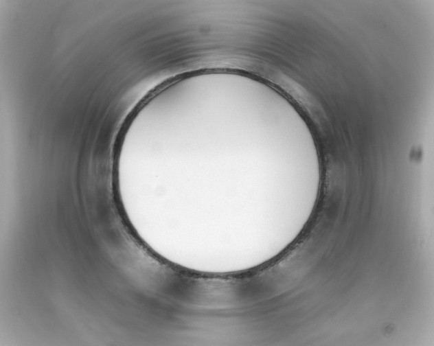 X0000092060836200709121353