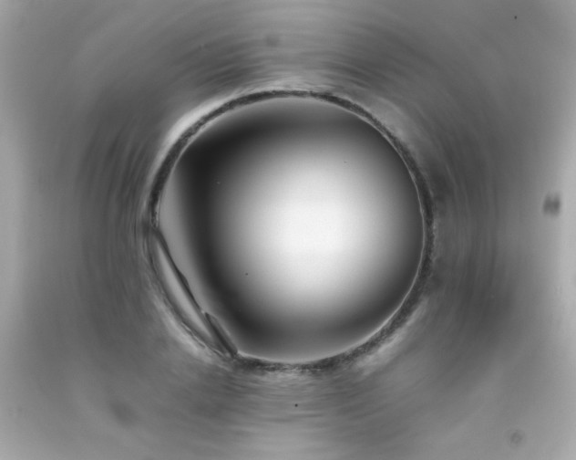 X0000092060838200709121353