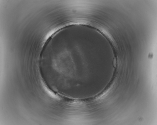 X0000092060842200709121353