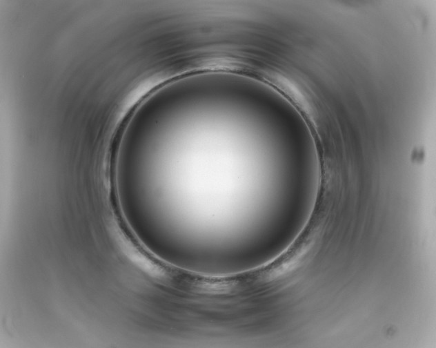 X0000092060843200709121353