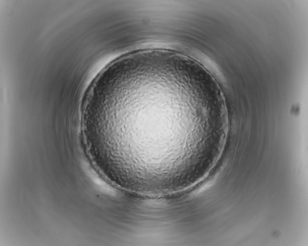X0000092060844200709121353