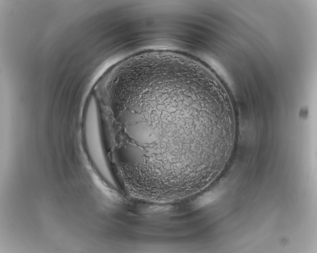 X0000092060845200709121353