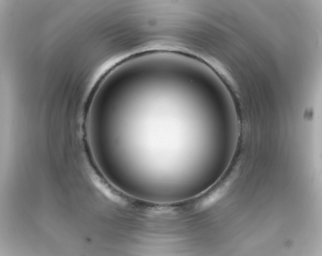 X0000092060846200709121353