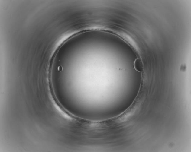 X0000092060847200709121353