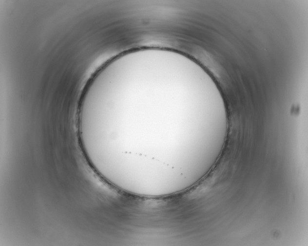 X0000092060848200709121353