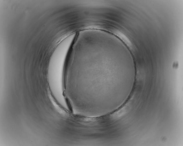 X0000092060849200709121353