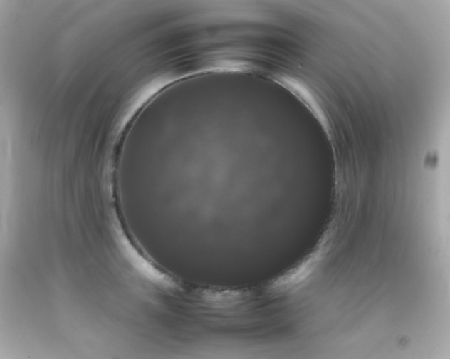 X0000092060851200709121353