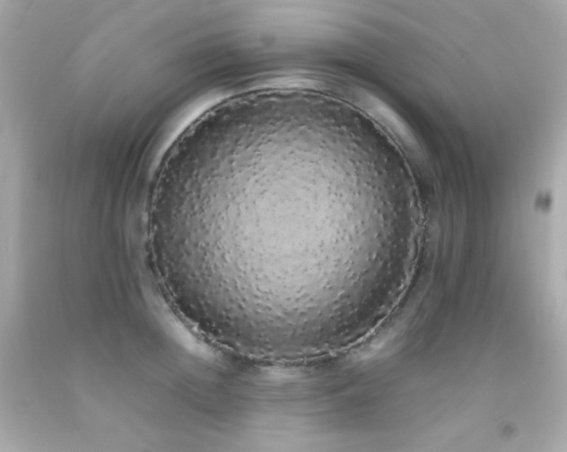 X0000092060852200709121353