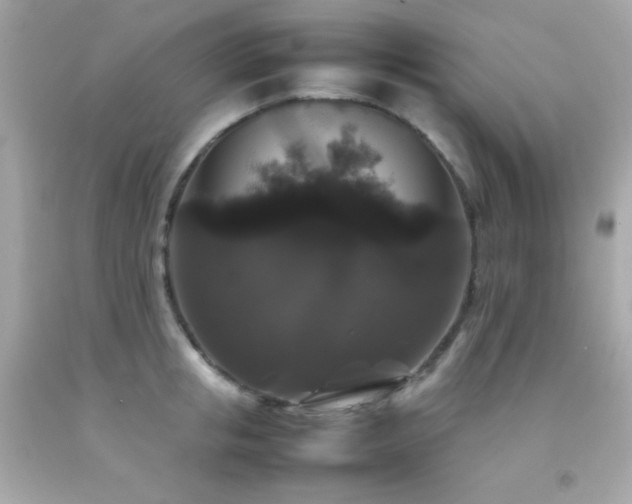 X0000092060853200709121353