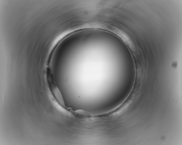 X0000092060854200709121353