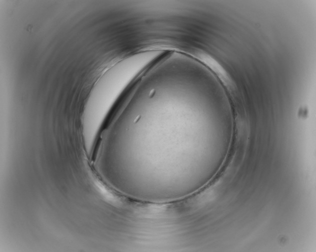 X0000092060857200709121353