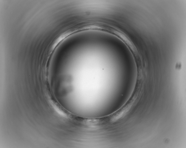 X0000092060858200709121353