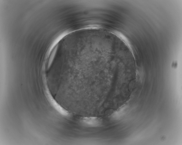 X0000092060859200709121353