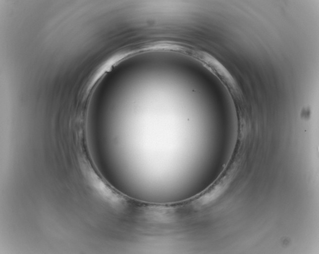 X0000092060860200709121353
