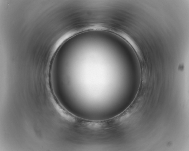 X0000092060861200709121353