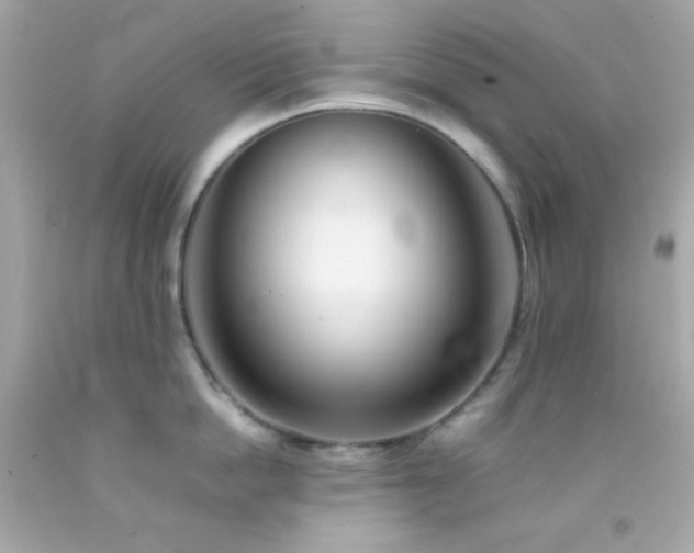 X0000092060862200709121353