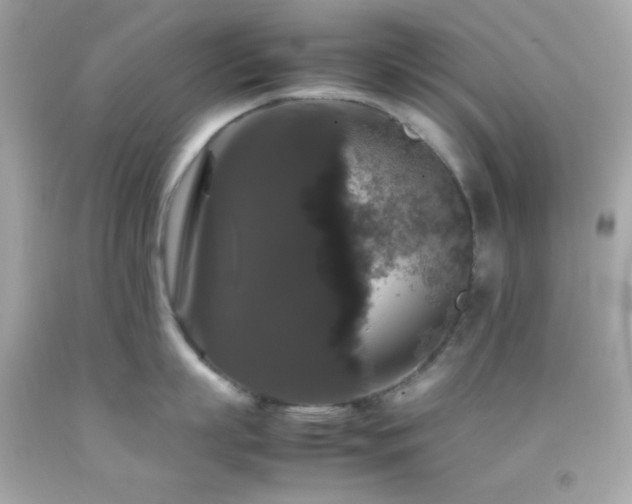 X0000092060863200709121353