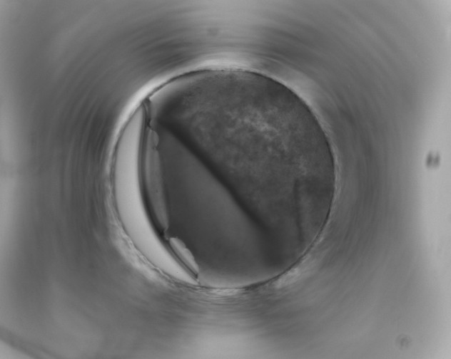 X0000092060864200709121353