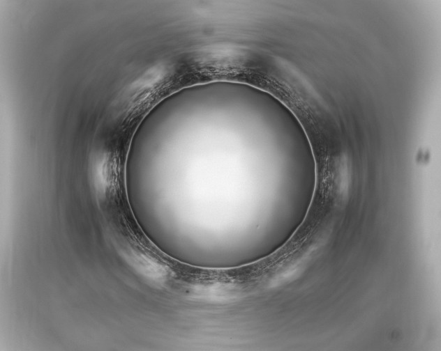 X0000092060866200709121352