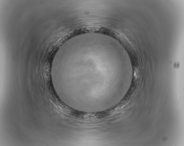 X0000092060867200709121352