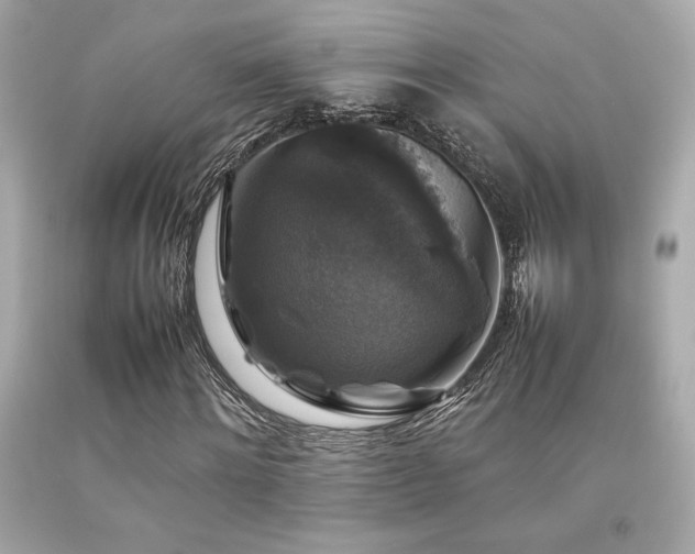 X0000092060868200709121352
