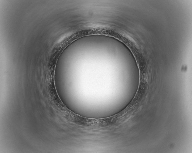 X0000092060869200709121352
