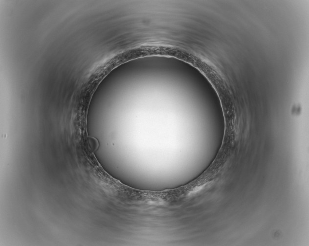 X0000092060870200709121352