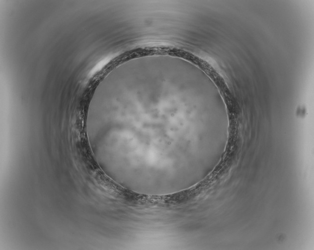X0000092060871200709121352