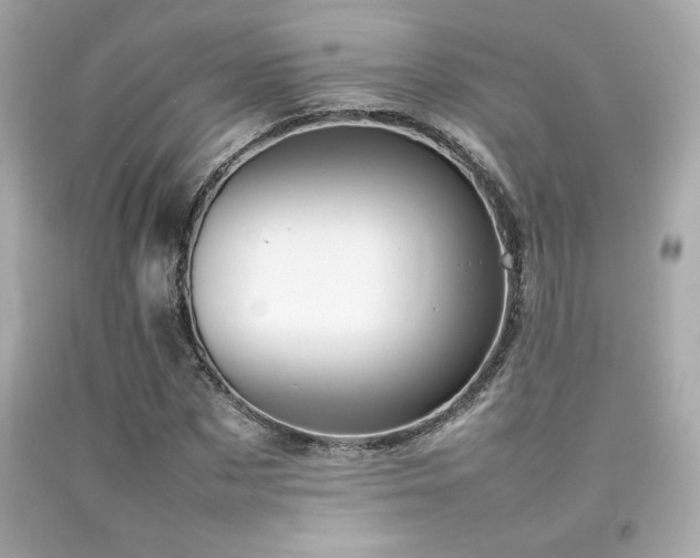 X0000092060873200709121352