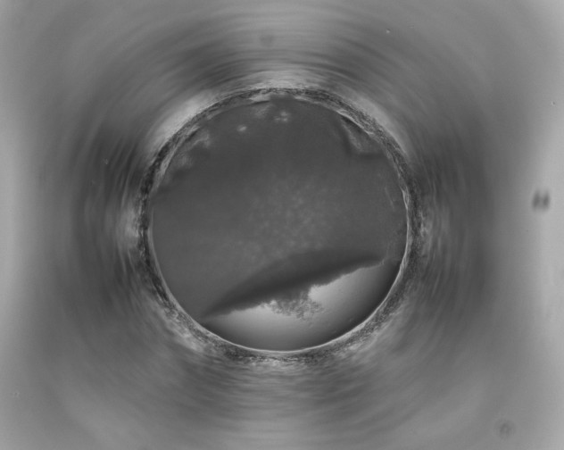 X0000092060874200709121352